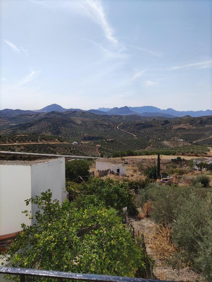 La Casa De Mi Rosa Villa Olvera Luaran gambar